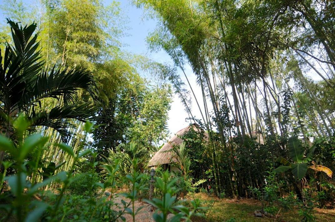 Naturalmente Boutique Bungalows Y Cocina Mediterranea Las Lajas  Eksteriør bilde